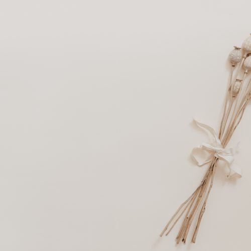 Natural dried flower on beige background. Minimal bohemian flat lay background with dried flower arrangement and copy space. Organic design. Pastel colors.