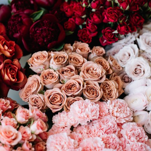 Beautiful fresh delivery of blossoming flowers at the florist shop: different roses, carnations, peony in gradient colour from pink to vivid orange as one flower bed, top view, flat lay
